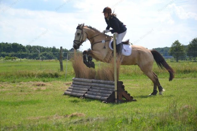 reitertag 2013 238